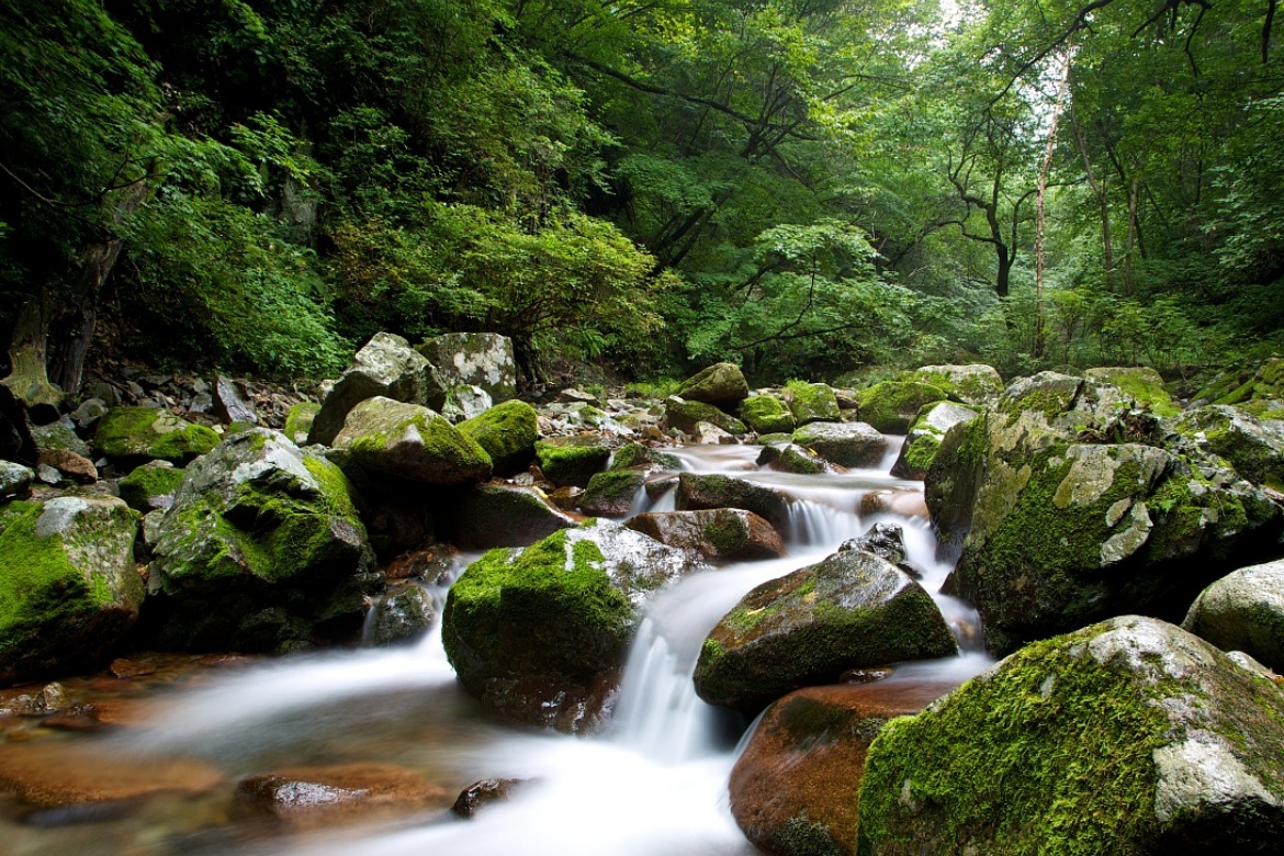 Green Stone Valley